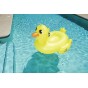 INFLABLE PATITO GRANDE FLOTADOR PATO 1,35MX91CM BESTWAY