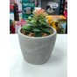 MACETA DECORATIVA CON PLANTA ARTIFICIAL HOGAR DECORACION