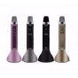 MICROFONO KARAOKE BLUETOOTH CON PARLANTE INALAMBRICO SD
