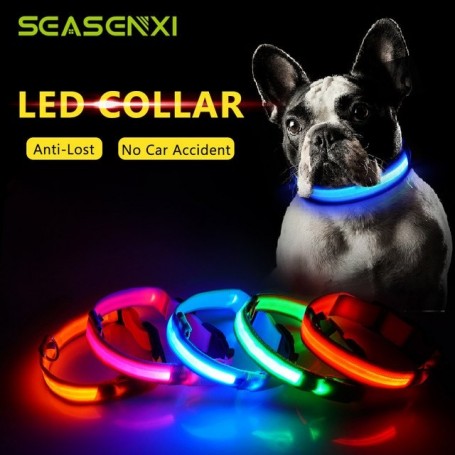 COLLAR LED DE PERRO MEDIANO NYLON RECARGABLE CON USB DAZA