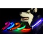 COLLAR LED DE PERRO MEDIANO NYLON RECARGABLE CON USB DAZA