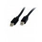 CABLE MINI DISPLAY-PORT THUNDERBOLT MACHO A MACHO