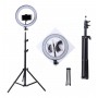 ARO DE LUZ LED PROFESIONAL 26 CM CON TRIPODE 2.1MTS IDEAL FOTOGRAFIA TIK TOK MAQUILLAJE MANICURA SELFIE