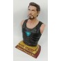 Figura Impresa 3D Tony Star