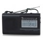 Radio Portatil Daza Fm Am Dual Multibanda Sw 9 Bandas 220v O Pilas