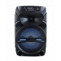 Parlante Daewoo Vert Recargable Bluetooth Aux Usb Dw-8r4