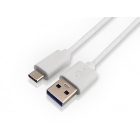 Cable USB 3.1 Tipo-C Type-C a USB 3.0 AM 1mt