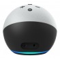 Amazon Echo Dot 4ta Generacion Kids Con Asistente Virtual Alexa Panda
