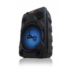 Parlante Portatil Blackpoint S35 Bluetooth Usb Radio Fm 8W