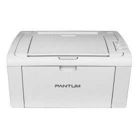 Impresora Monocromatica Pantum P2509W Con Wifi