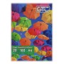 Papel Fotografico Brillante 180gr A4 20 Hojas GTC
