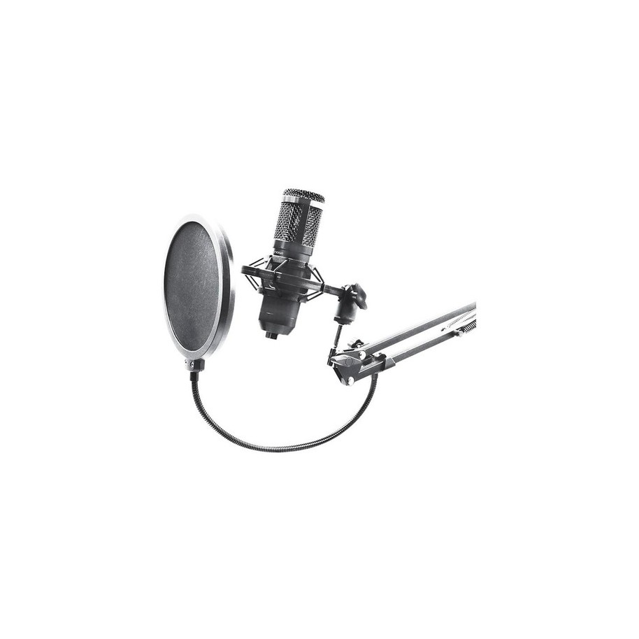 Microfono Condensador Con Brazo Para Pc Streaming Cardioide Anti