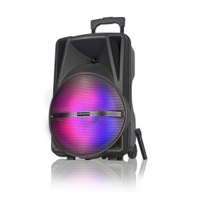 Parlante Portatil Multimedia Bluetooth Panacom Sp-3169wm Con Microfono Inalambrico 28w