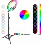 Aro De Luz LED RGB Havit ST7026 26CM 10 Pulgadas Con Tripode
