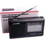 Radio Receptor Portatil Multibanda Jahro JHR-205 AM FM